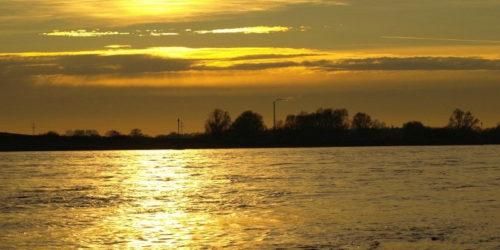 karpfen-angeln-am-fluss