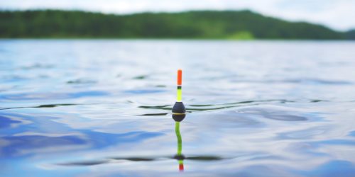 Karpfenangeln mit Pose