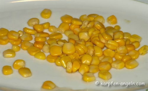 koeder-mais-graskarpfen