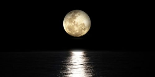 Angeln auf Karpfen bei Vollmond