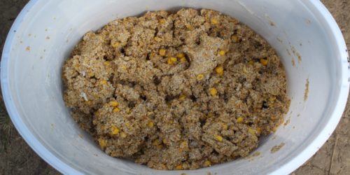 Karpfenteich selber herstellen